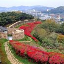 &#34;여긴 보호구역이 있어요! 조심해야 해요!&#34; 전북 고창 필수 여행지 5선 이미지