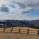 은화목장 이미지