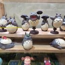 도토리숲