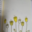 서평을 만나다 이미지