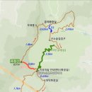 114차 정기트래킹 장성 편백나무숲(산책) 공지 이미지