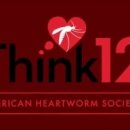 미리내동물병원 이미지