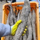 태형농장 이미지