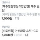 제주벌꿀영농조합법인