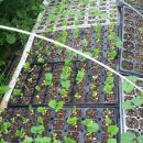 해준농장 이미지