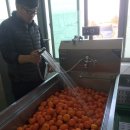 만지원농장 이미지