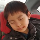 홍루이젠우 이미지