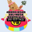 미남역 티스토리