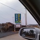 씨에코비치 이미지