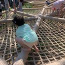 목동할머니 이미지