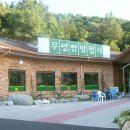 무영쌈밥식당 Daum카페