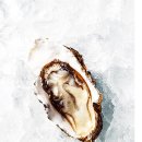 굴이야기 이미지