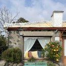 안덕면 서광서리 복지회관 | 임신 30주 제주도 태교여행 만삭사진 후기 #귤밭사진관