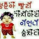 뽀끼야