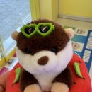 캐칭덕 당산점 이미지