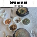 향림카페 | 아침식사 가능한 경주월드 맛집 추천 | 경주 매운탕 맛집 향림매운탕