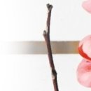 미나리부동산공인중개사사무소 이미지