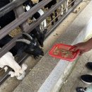 시골나들이 | 🐮 안성팜랜드 가족 나들이 후기 | 리아의 첫 시골 체험 💛