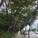 대성사 | 서울 우면산 대성사 산책 후기, 도심 속에서 마음 쉬어가기