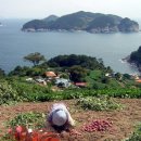 통영농협하나로마트 이미지