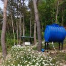 참사랑농원 이미지