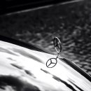 씨엘모터스(CL MOTORS) 이미지