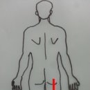 삼성전자OK한의원 이미지