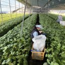 노동마을 화장실 이미지