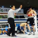 강화 용인대 복싱클럽 이미지