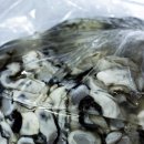 괴산부부한의원 이미지