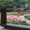 제전장어참숯구이 이미지