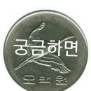 동그라미 공연단 Daum카페