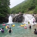 백운계곡 Daum카페