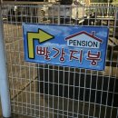 빨강지붕펜션