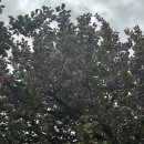 곽다정이네 이미지