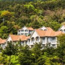 제이에이치라이프주