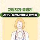 망포동 370-3~망포동 255-2(영통로 153번길 6 ~ 영통로 153번길 98) | 경기도 수원시 영통구 망포동 교정치과 총정리