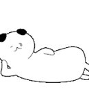 디토키즈풀빌라 이미지