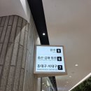 뒤란 | 20260513 울산 뒤란 후기(심아일랜드-극동아시아타이거즈-크라잉넛)