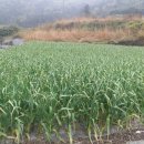 돌산공인중개사사무소 이미지