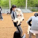 경혜여자중학교 이미지