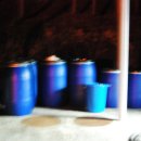 액비골(1) 이미지