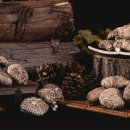 믿음영농조합법인 이미지