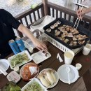 댕댕미장원 이미지