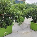 도봉농장 이미지