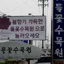 들꽃수목원 Daum카페