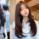 이런날, 헤어 네이버블로그