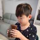 (후기) 삼립 거대해진 로켓단 초코롤 홈플러스 익스프레스 구매 후기 ♥