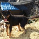 황구건강원 이미지