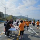대청태권도 | 대청호 마라톤 대회 5km 완주와 대회 후기